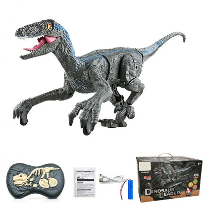 VELOCIRAPTOR REAL