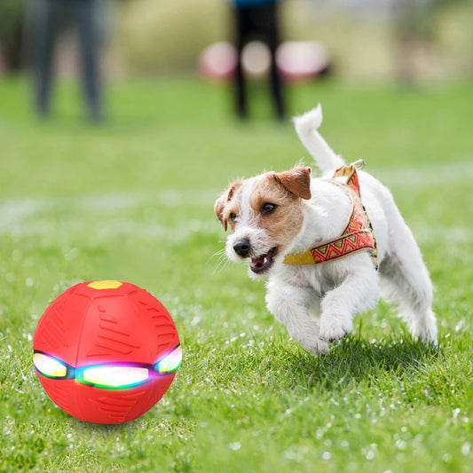 PELOTA MAGICA FLAT